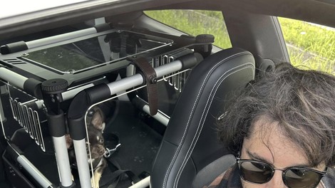 K9eleven
